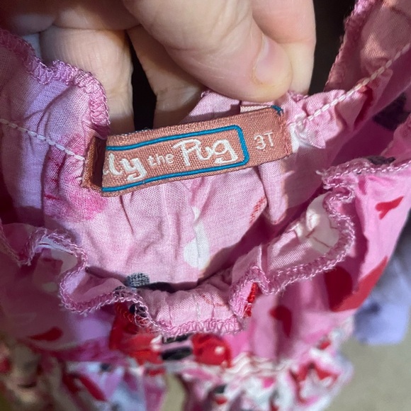 Jelly the Pug Valentines Dress - Picture 9 of 9